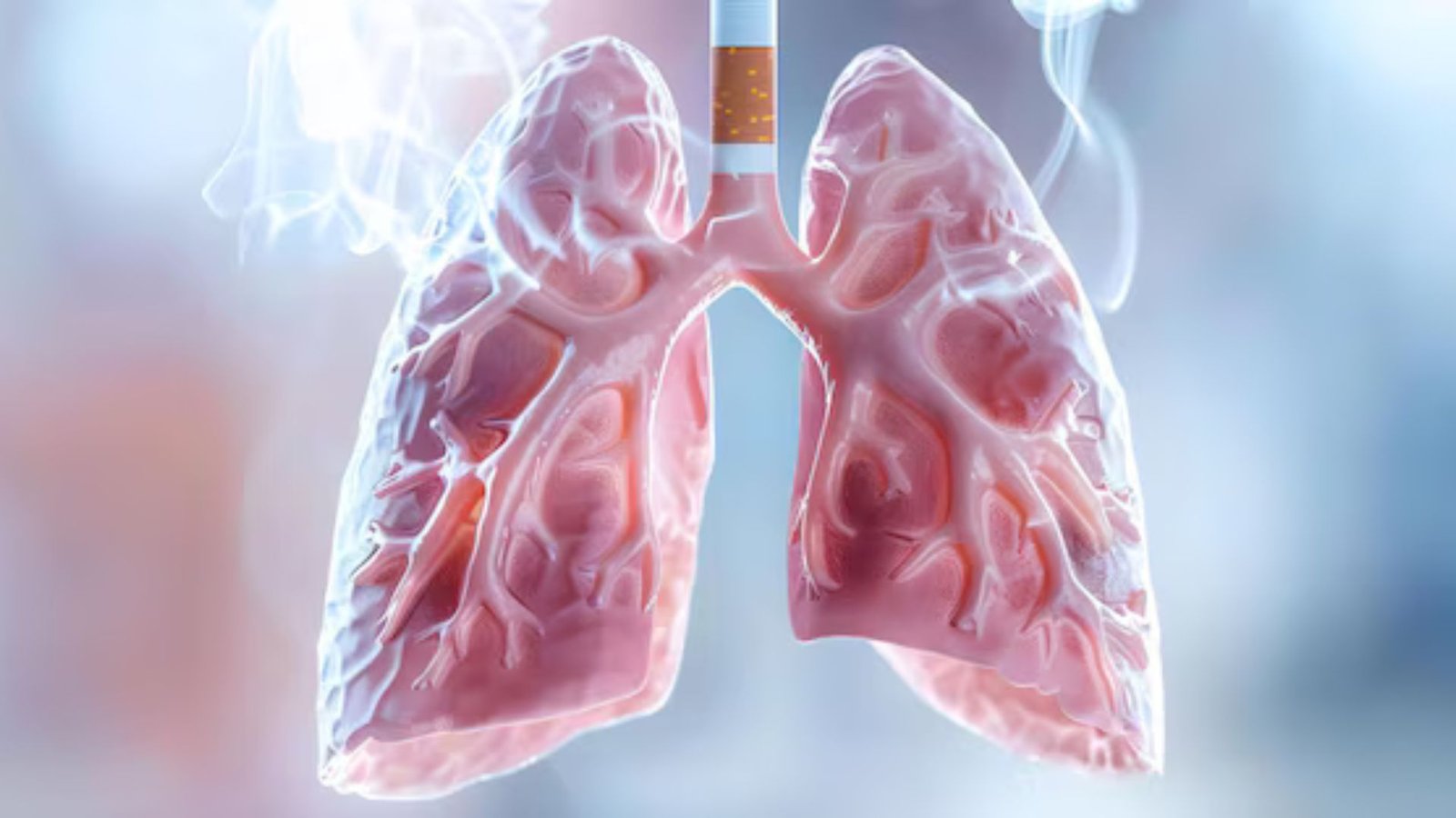 Health Impacts Of Smoking On Lung Function