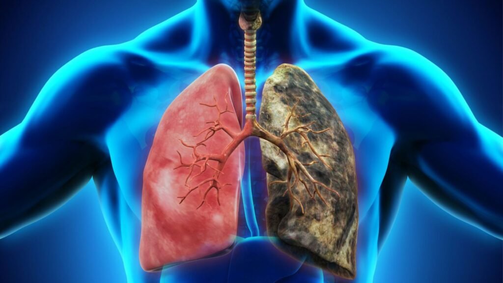 Health Impacts Of Smoking On Lung Function
